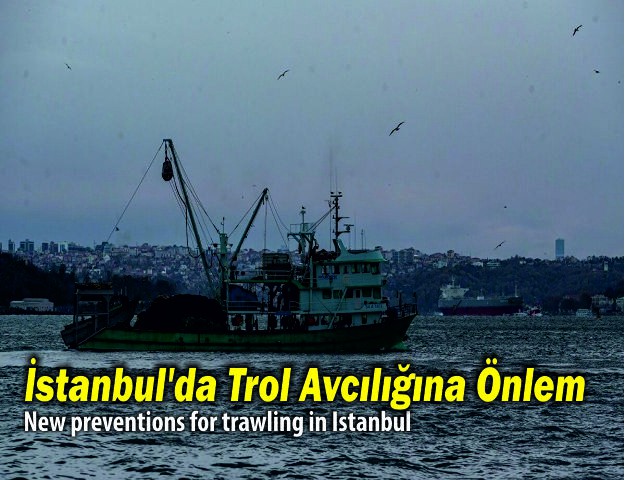 İstanbul’da Trol Avcılığına Önlem