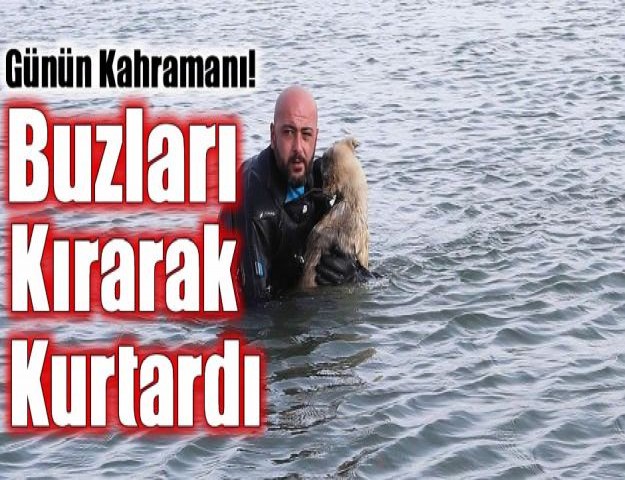 Günün Kahramanı! Buzları Kırarak Kurtardı