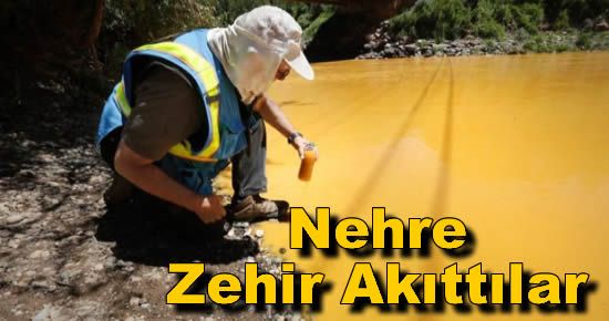 ABD'de Çevreciler Nehre Zehir Akıttı