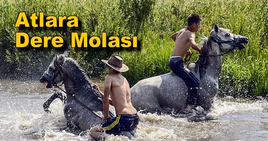 Atlara Dere Molası