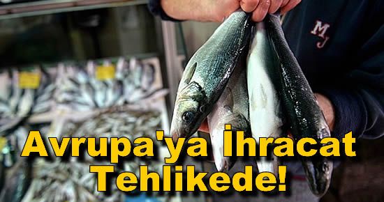 Avrupa'ya İhracat Tehlikede!