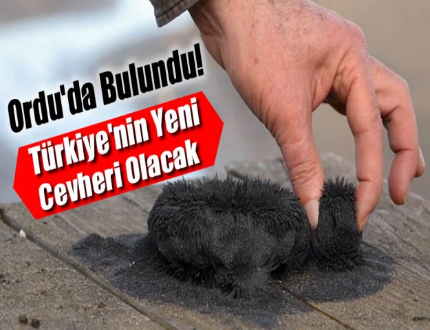 Ordu'da Bulundu! Türkiye'nin Yeni Cevheri Olacak...