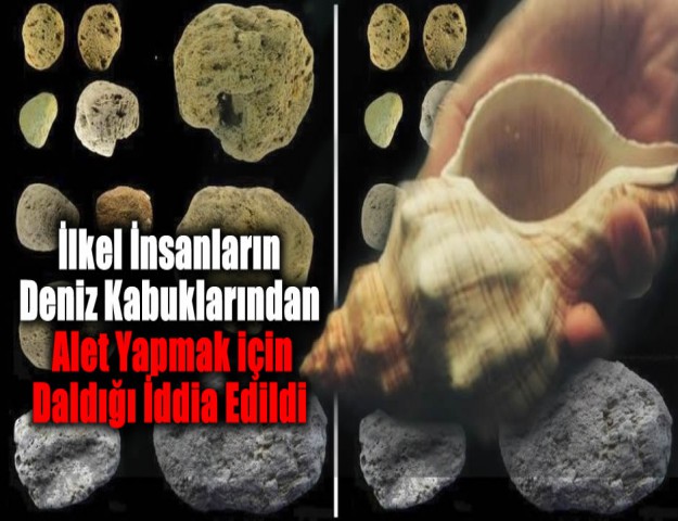 İlkel İnsanların Deniz Kabuklarından Alet Yapmak için Daldığı İddia Edildi