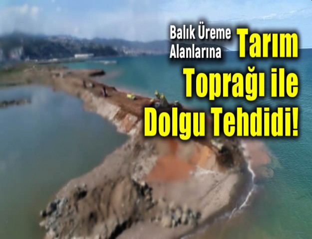 Balık Üreme Alanlarına Tarım Toprağı ile Dolgu Tehdidi!