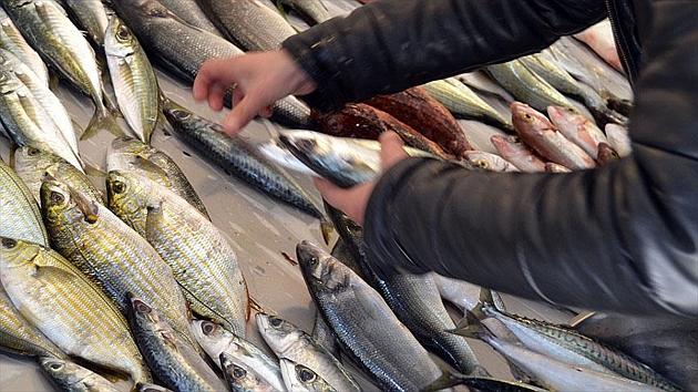 Tekneler denize açılamadı, balık fiyatları arttı