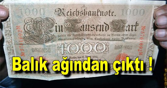 Balık ağından çıktı!