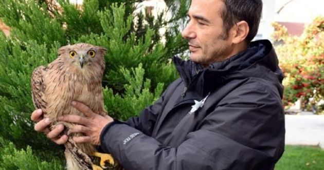 Burdur'da İlk Kez Balık Baykuşu Görüldü