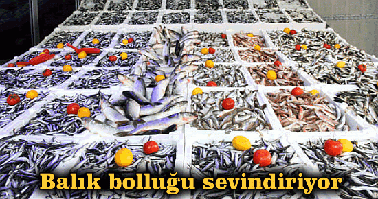 Balık bolluğu sevindiriyor