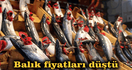 Balık fiyatları düştü