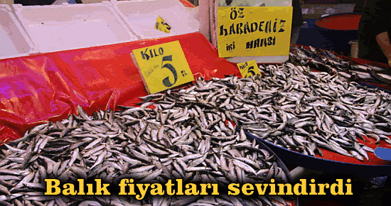 Balık fiyatları sevindirdi