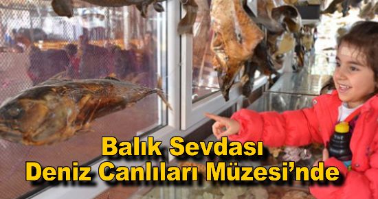 Balık Sevdası Deniz Canlıları Müzesi?nde