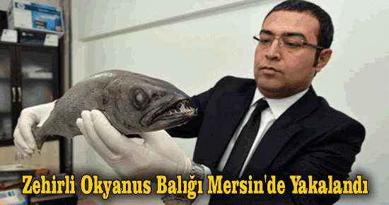 Balıkçıların Dikkatine