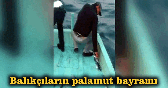 Balıkçıların palamut bayramı