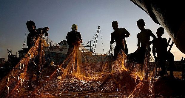 Yasa dışı balıkçılık denizleri tüketiyor