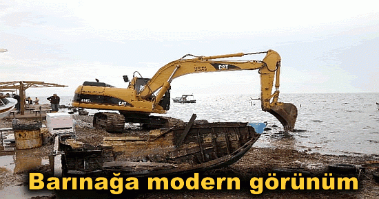 Barınağa modern görünüm