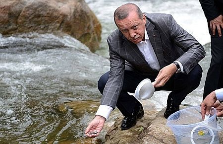 Başbakan Erdoğan Fırtına deresine balık bıraktı