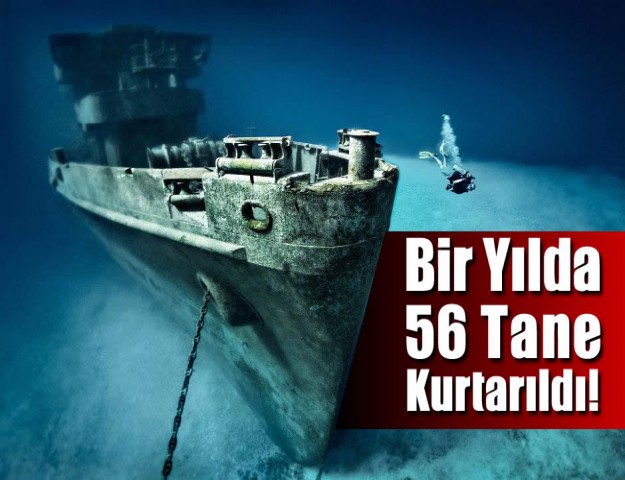 Bir Yılda 56 Tane Kurtarıldı!