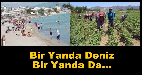 Bir Yanda Deniz, Bir Yanda Da...