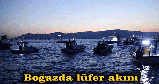 Boğazda lüfer akını