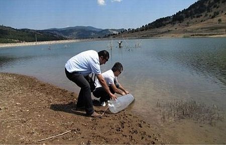 Göllere 139 Bin Balık Bırakıldı