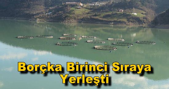 Borçka Birinci Sıraya Yerleşti