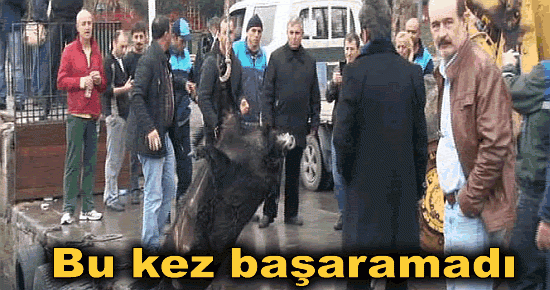 Bu kez başaramadı