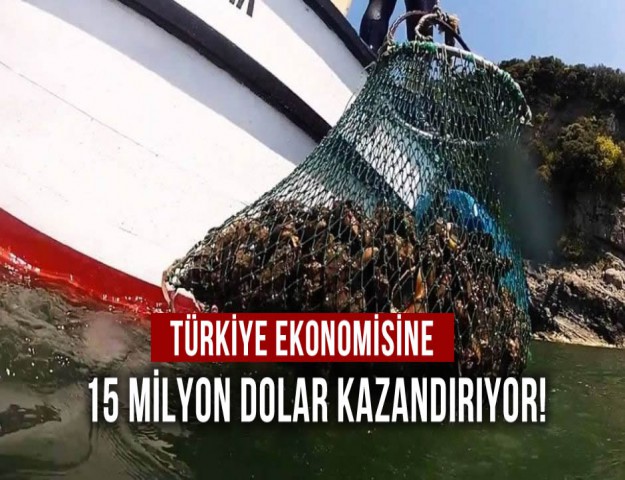 Türkiye Ekonomisine 15 Milyon Dolar Kazandırıyor!