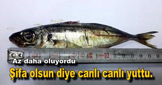 Canlı canlı yuttu. Ölecekti