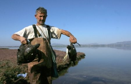 Caretta Caretta Katliamı