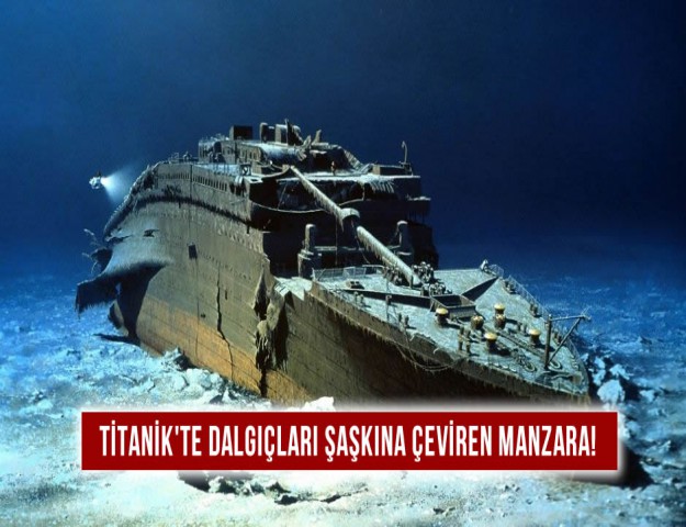 Titanik'te, Dalgıçları Şaşkına Çeviren Manzara!