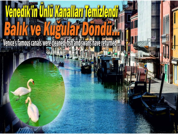 Venedik'in Ünlü Kanalları Temizlendi Balık ve Kuğular Döndü...