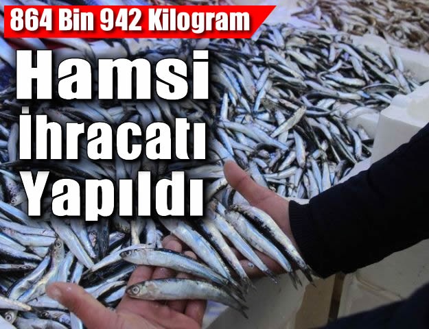 864 Bin 942 Kilogram Hamsi İhracatı Yapıldı