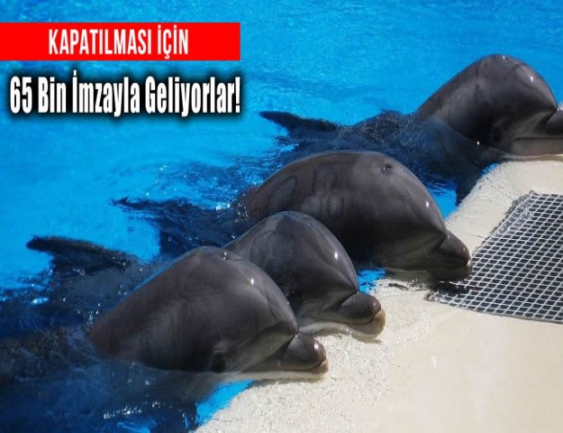 Kapatılması için 65 Bin İmzayla Geliyorlar!