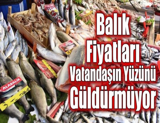 Balık Fiyatları Vatandaşın Yüzünü Güldürmüyor