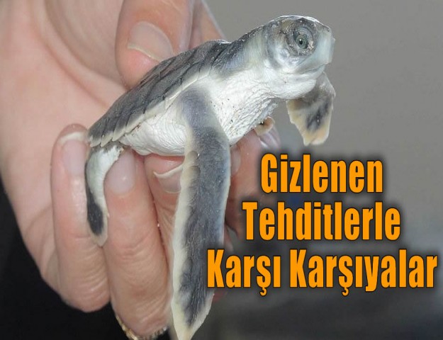 Gizlenen Tehditlerle Karşı Karşıyalar