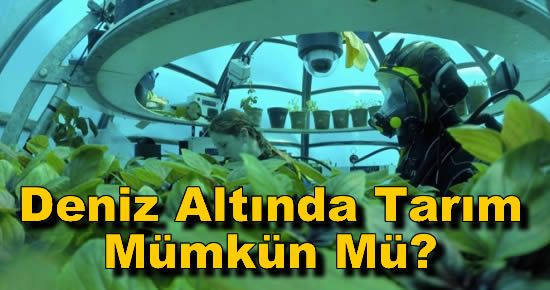 Deniz Altında Tarım Mümkün Mü?