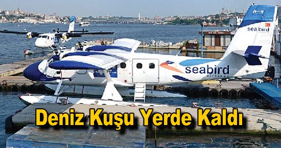 Deniz Kuşu Yerde Kaldı