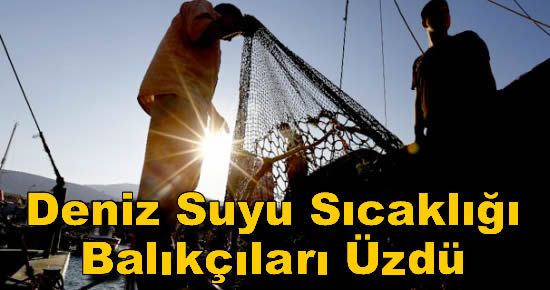 Deniz Suyu Sıcaklığı Balıkçıları Üzdü