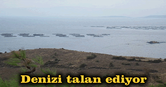 Denizi talan ediyor