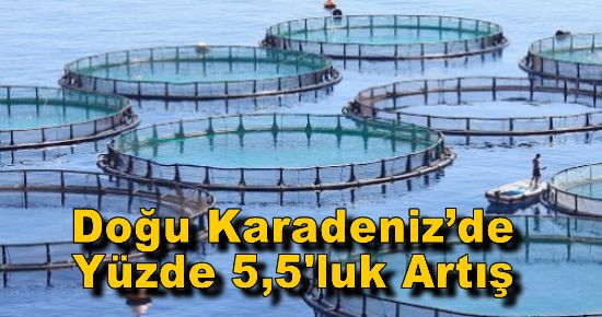 Doğu Karadeniz?de Yüzde 5,5'luk Artış