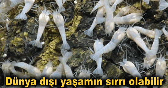 Dünya dışı Yaşamın sırrı olabilir