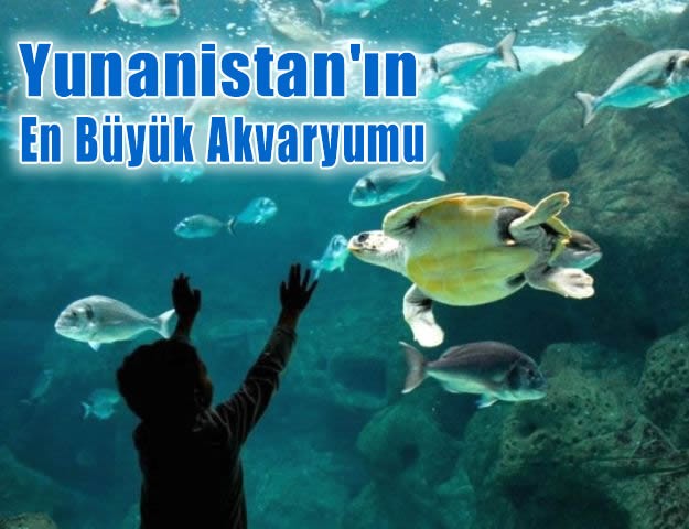 Yunanistan'ın En Büyük Akvaryumu