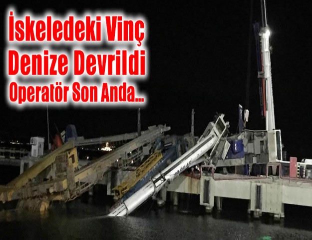 İskeledeki Vinç Denize Devrildi, Operatör Son Anda...