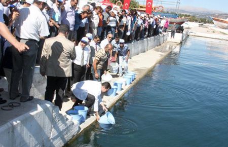 Eğirdir Gölü'ne 250 Bin Sazan Bırakıldı