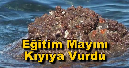 Eğitim Mayını Kıyıya Vurdu