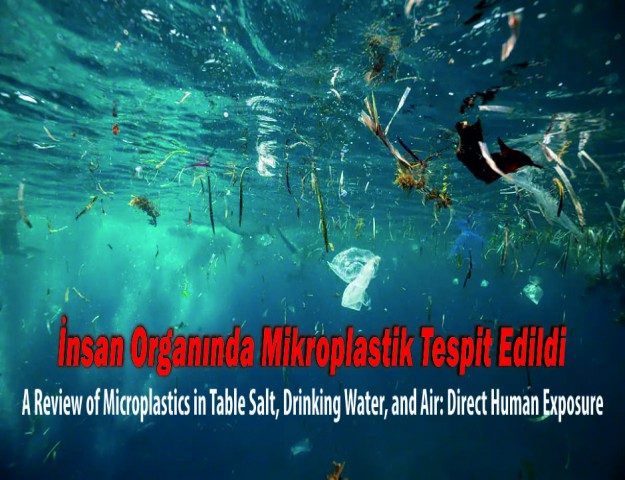 İnsan Organında Mikroplastik Tespit Edildi