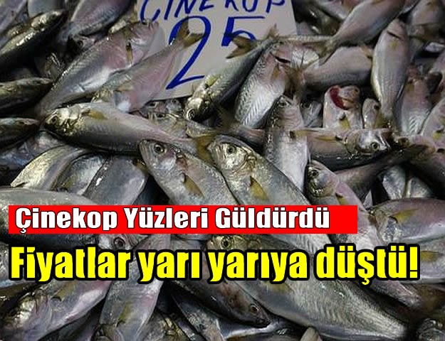 Çinekop Yüzleri Güldürdü Fiyatlar yarı yarıya düştü!