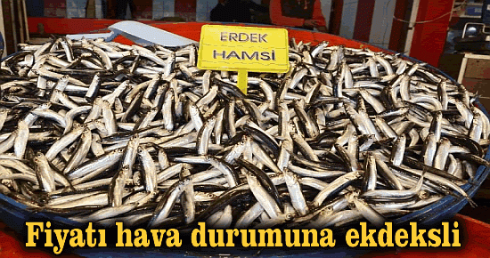 Fiyatı Hava Durumuna Endeksli