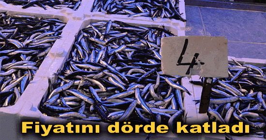 Fiyatını dörde katladı