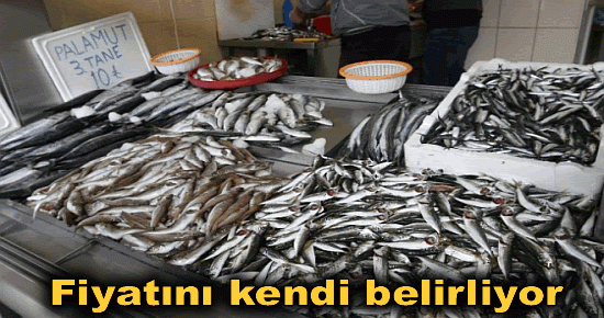 Fiyatını kendi belirliyor